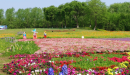 屏幕截图 2025-06-03 155952.png